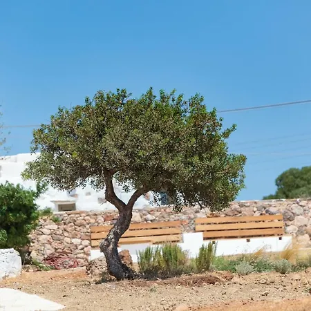 Eleonas Villas, Near Lolantonis